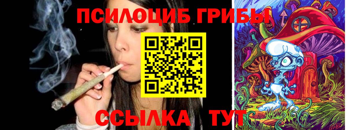 Бугуруслан  наркотики  Вход с VPN  Галлюциногенные грибы прущие грибы 